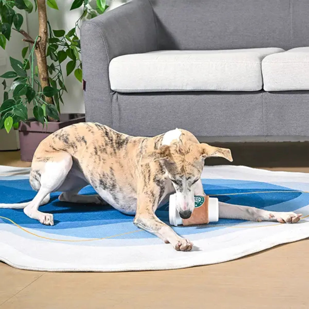 Dura Guard Coffee Hour - StarPaws Coffee