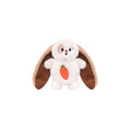 Fuzzy Friendz Hoppin' Easter - Floppy Bunny