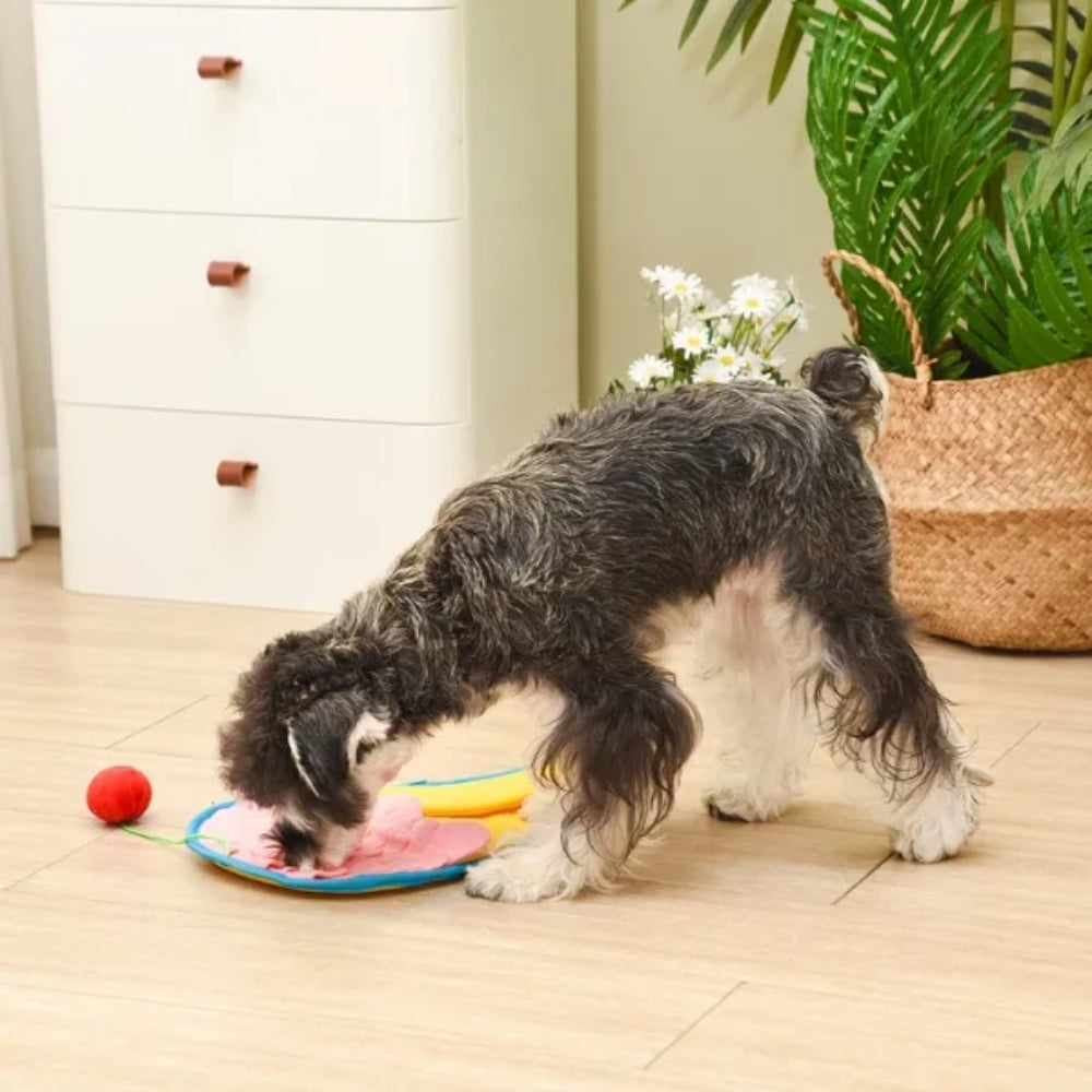 Sniff'n' Seek Whisker Mat - Ice-cream