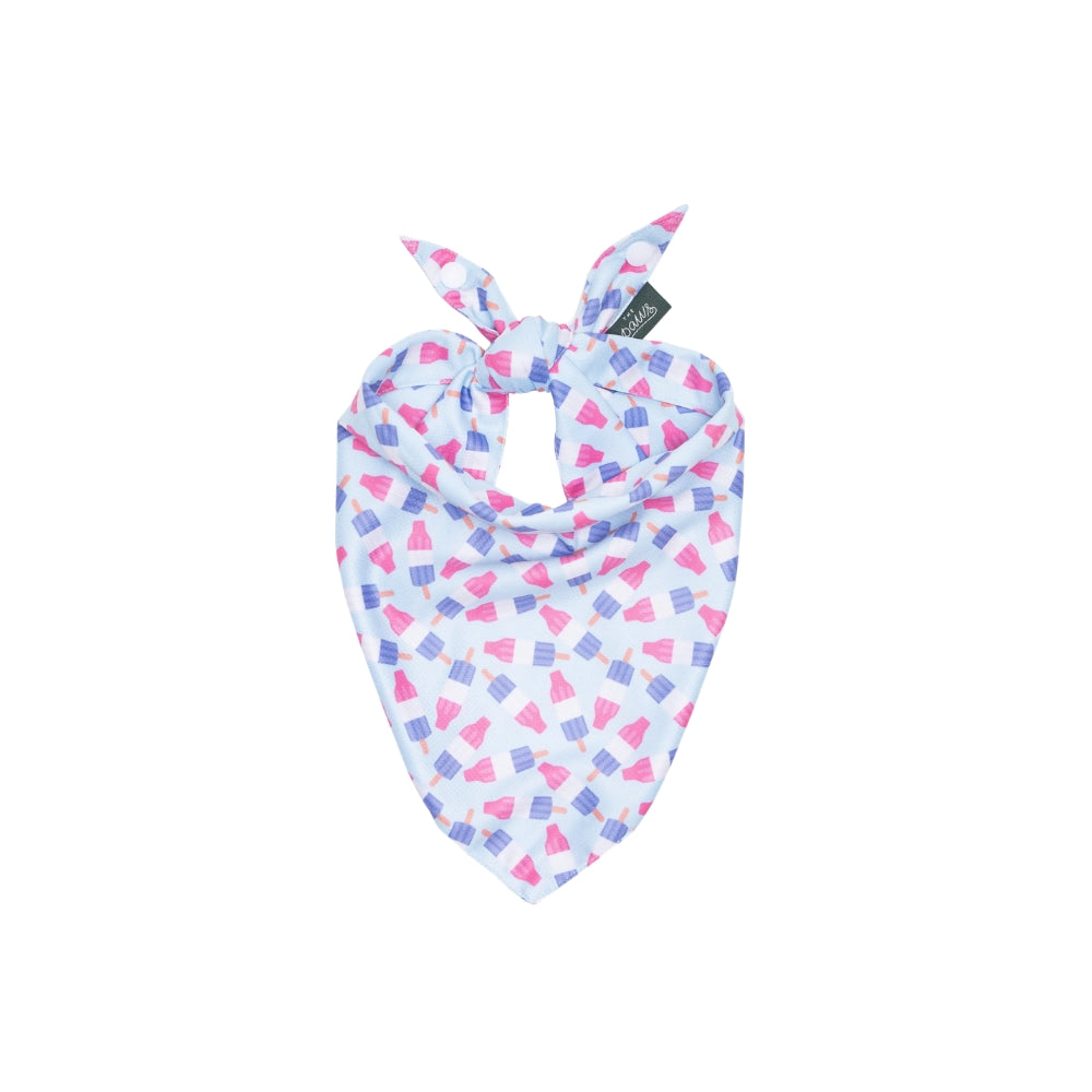 Ice Block Cooling Bandana