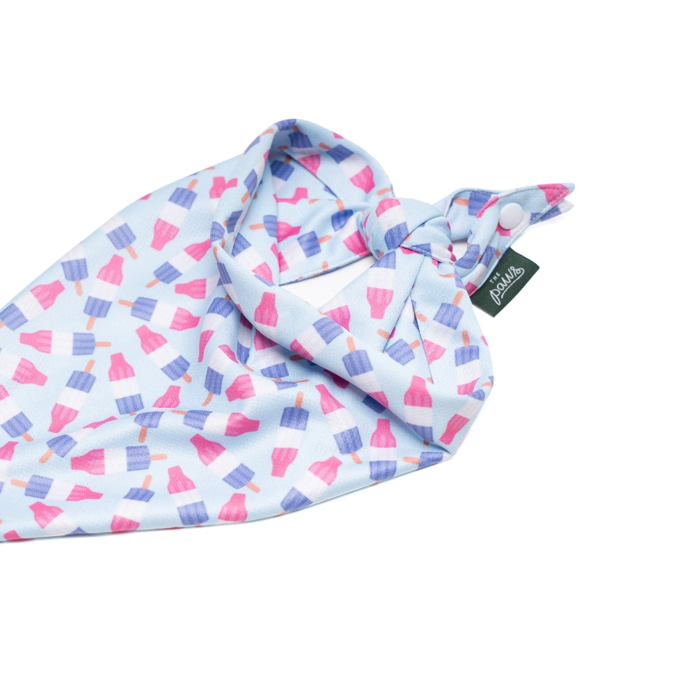 Ice Block Cooling Bandana