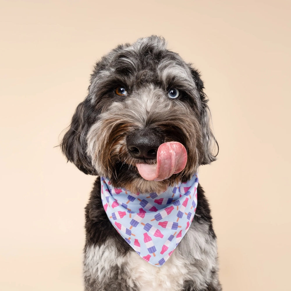 Ice Block Cooling Bandana