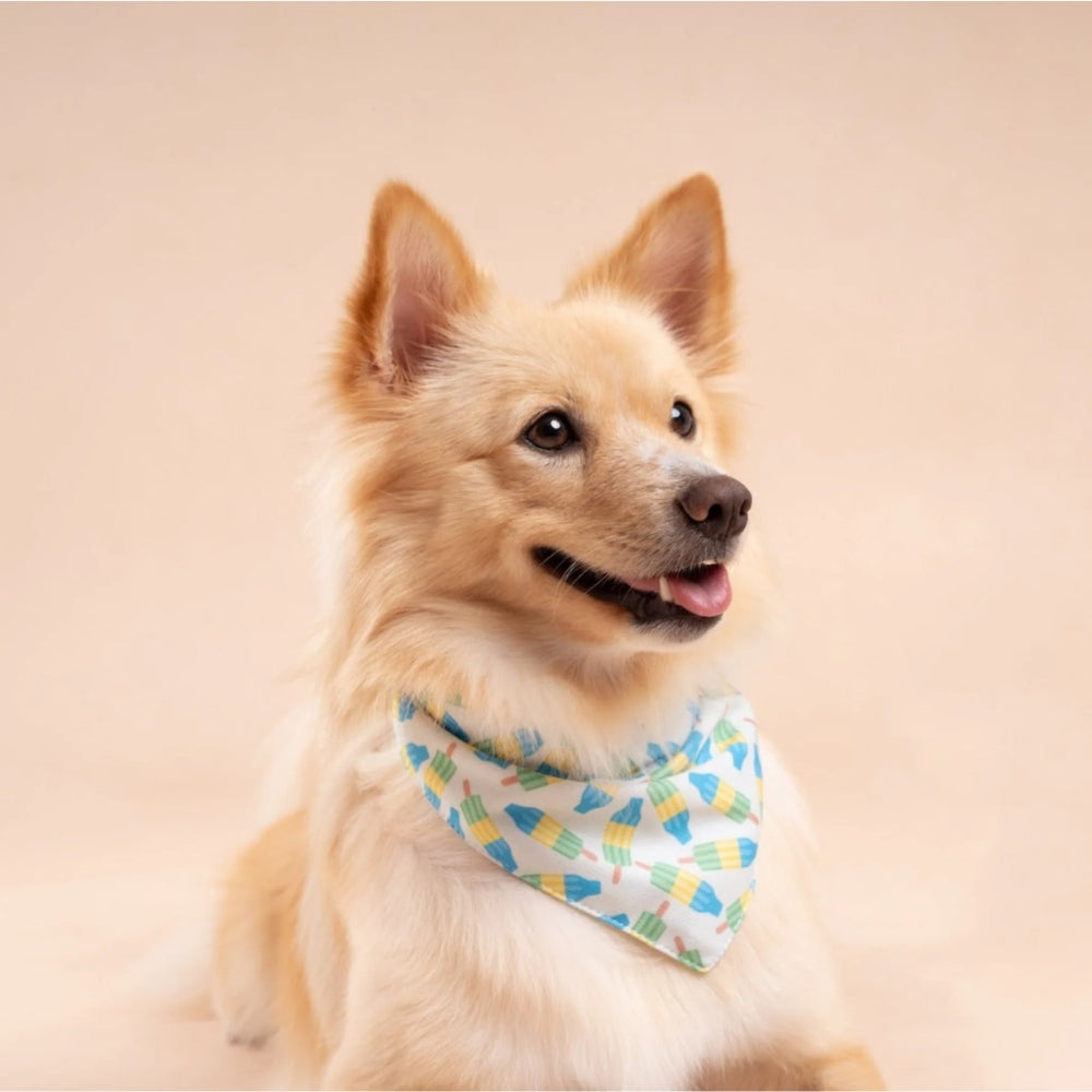 Limeade Cooling Bandana