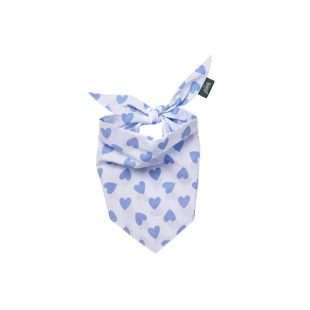 Story Dog Bandana