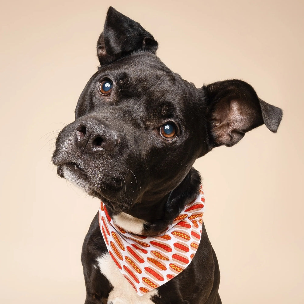 Hot Dogs Bandana