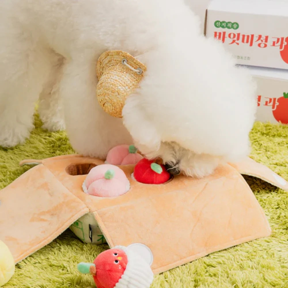 BITE ME Mixed Fruits Box Nosework Toy