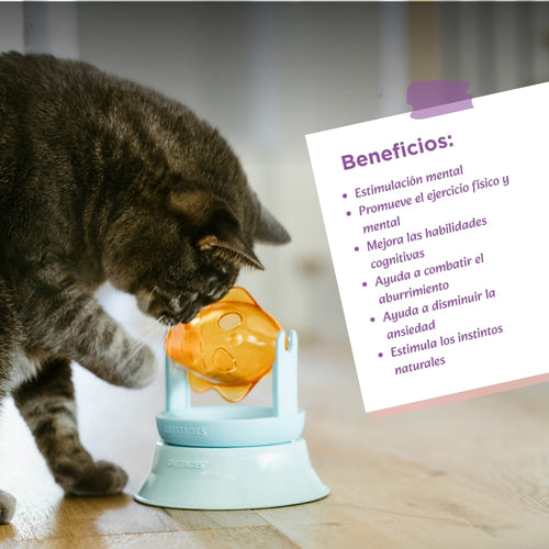 Catstages 2-in-1 Topper Spin Fish Treat Cat Toy