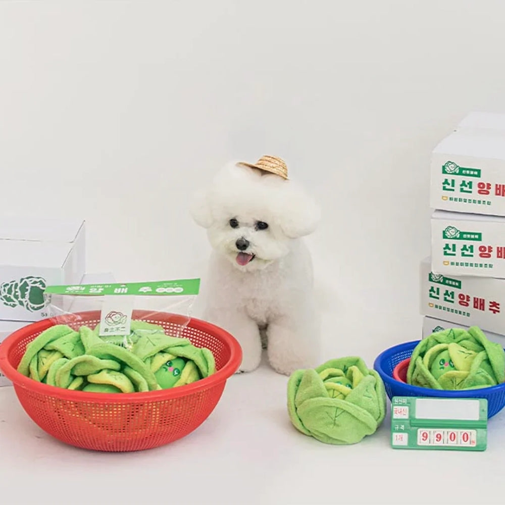 BITE ME Cabbage Toy