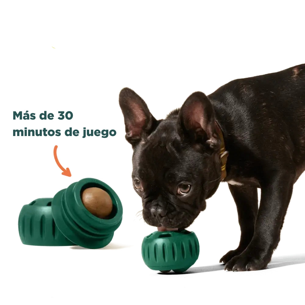 Woof Pupsicle - Green