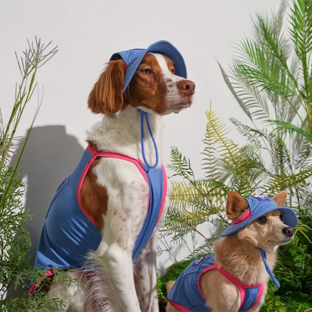 Puppy Gallery Outside Plus Cooling Dog Tank Top - Blue