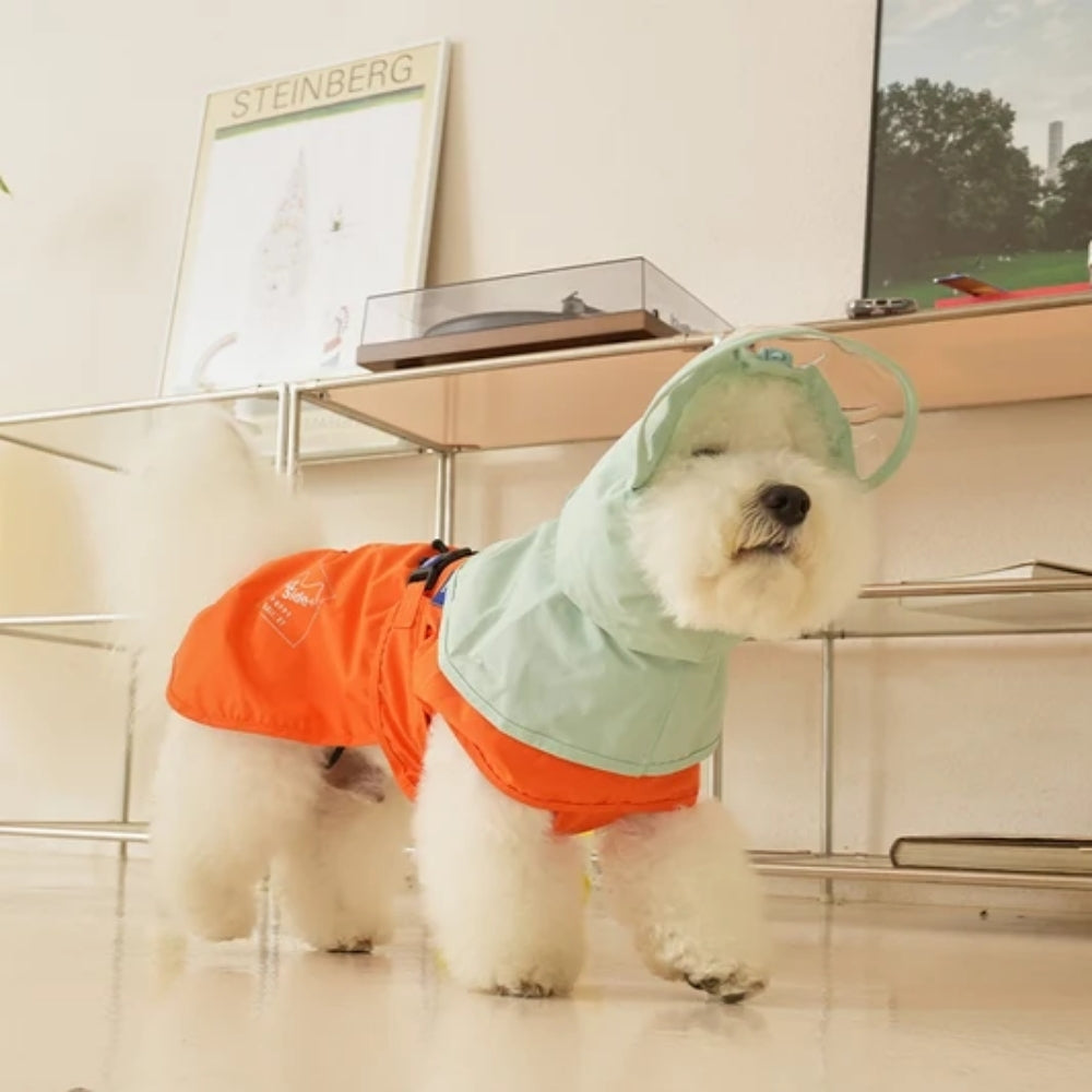Puppy Gallery All Weather Water Shield Poncho - Black