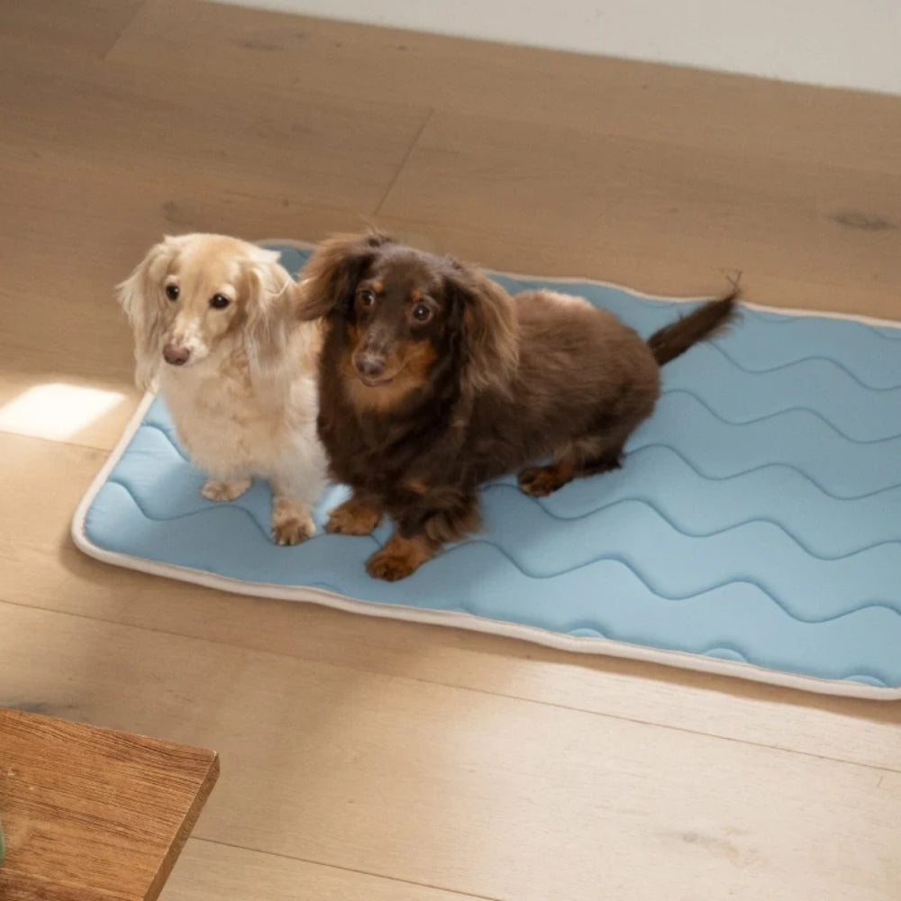 Puppy Gallery Cool Wave Memory Foam Pet Mat