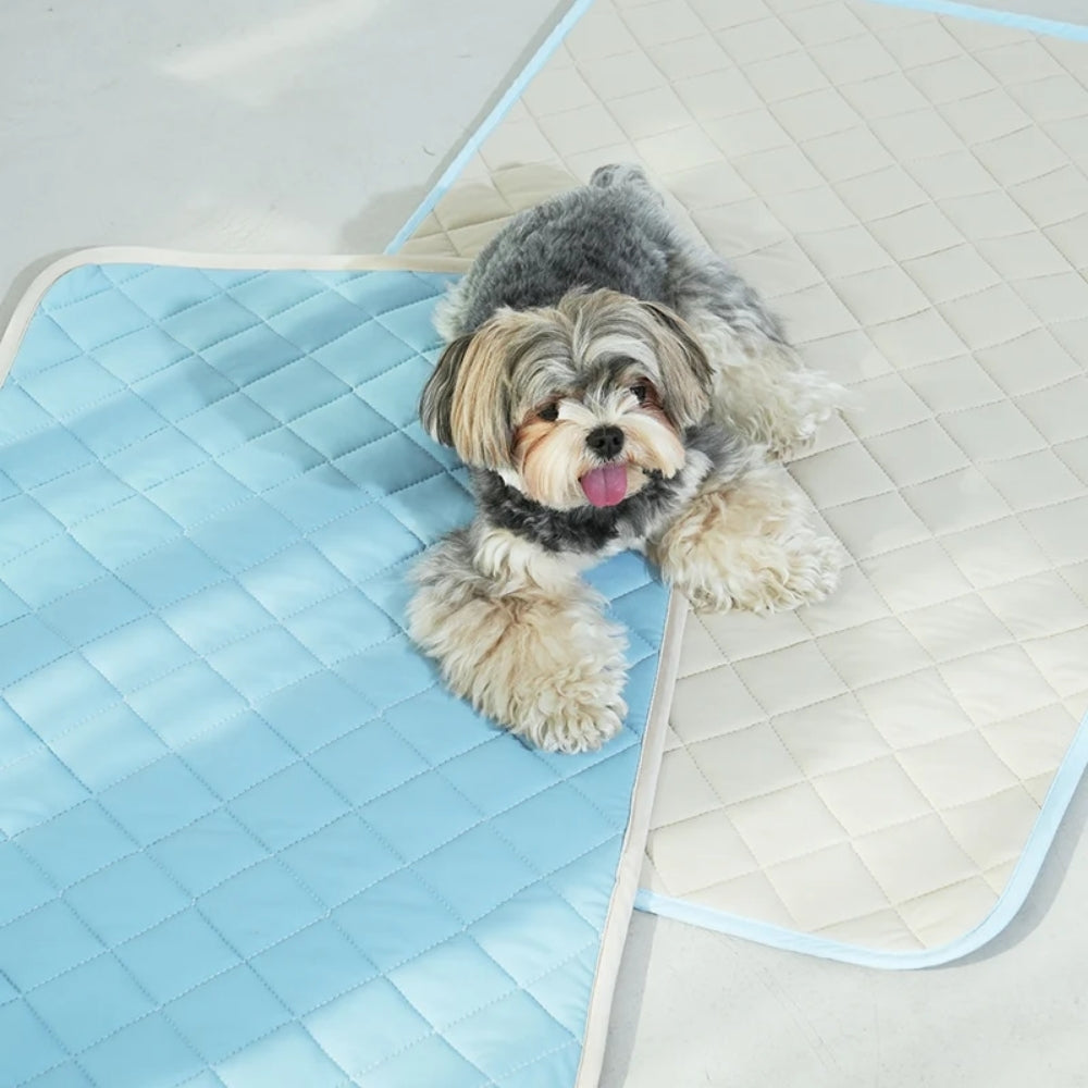 Puppy Gallery Cool Wave Memory Foam Pet Mat