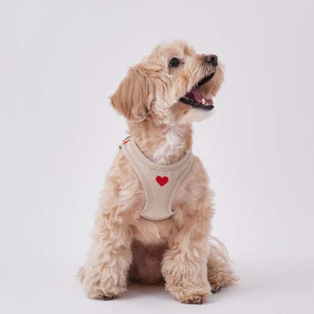 Weatherproof Step-in harness Beige