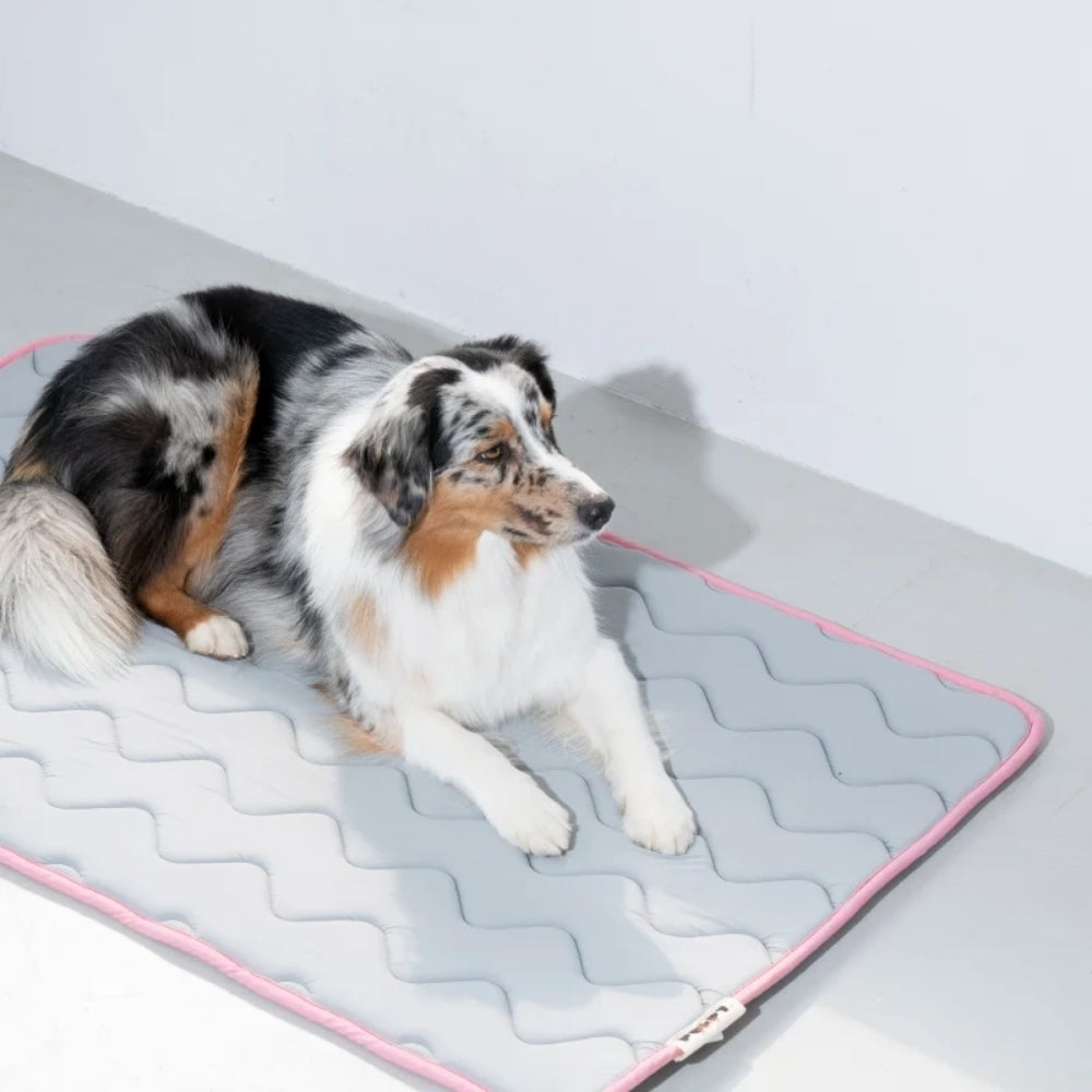 Puppy Gallery Cool Wave Memory Foam Pet Mat