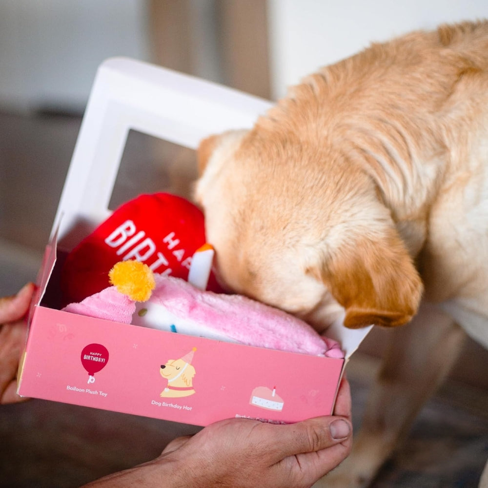 Zippypaws Birthday Box - Pink