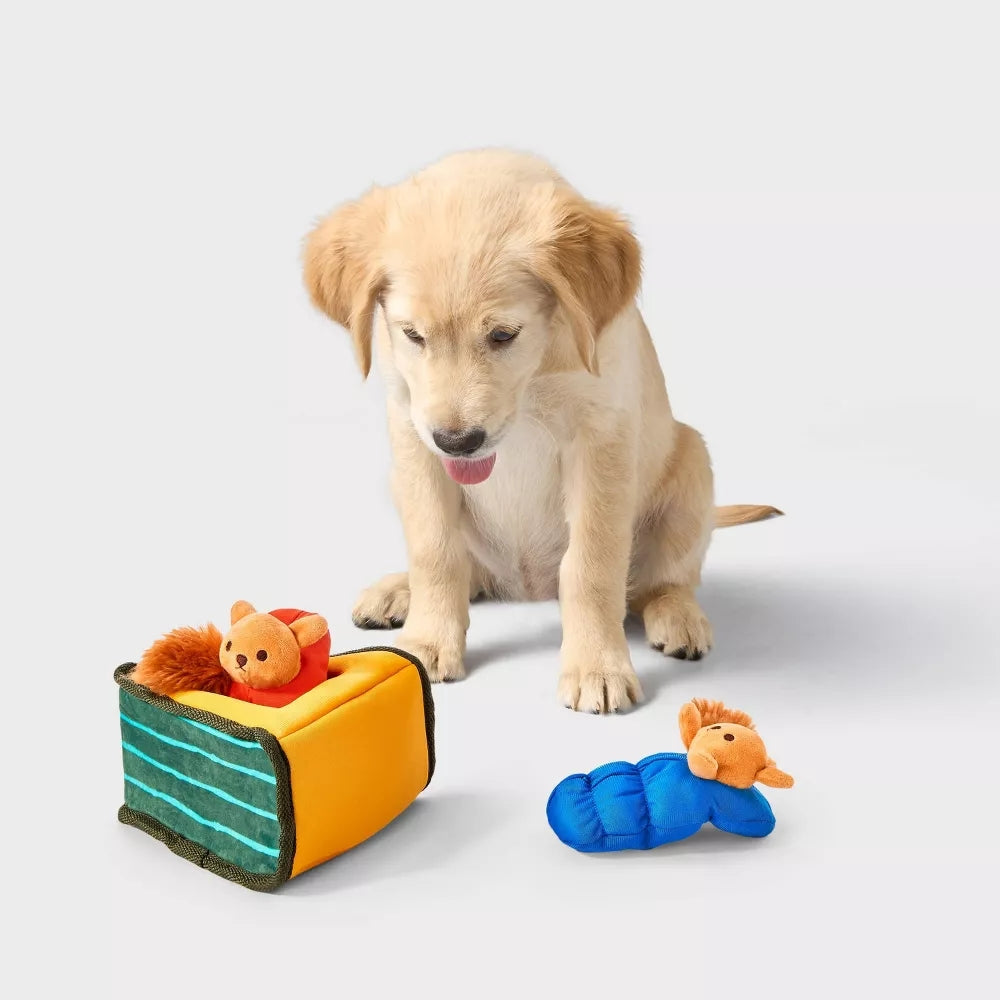 Camp Squirrely Dog Interactive Plush Toy Set