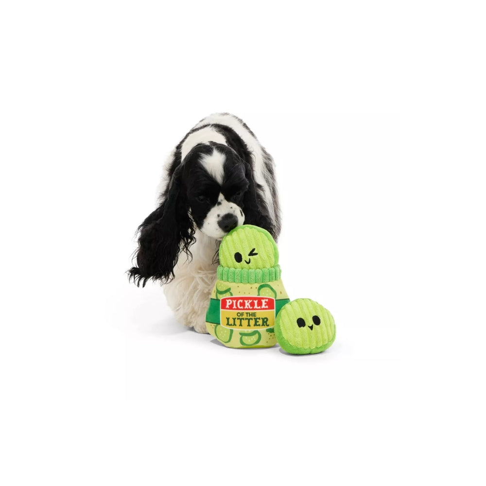Pickle Dog Toy
