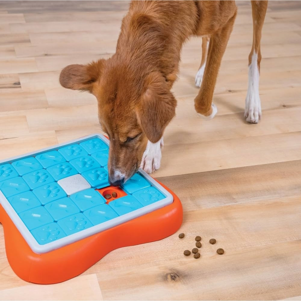 Challenge Slider Interactive Treat Dog Puzzle